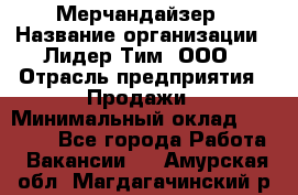 Мерчандайзер › Название организации ­ Лидер Тим, ООО › Отрасль предприятия ­ Продажи › Минимальный оклад ­ 26 000 - Все города Работа » Вакансии   . Амурская обл.,Магдагачинский р-н